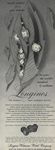 Longines 1956 967.jpg